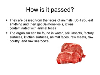 How is it passed? They are passed from the feces of animals. So if you eat anything and then get Salmonellosis, it was contaminated with animal feces The organism can be found in water, soil, insects, factory surfaces, kitchen surfaces, animal feces, raw meats, raw poultry, and raw seafood’s 
