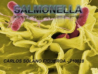 SALMONELLA CARLOS SOLANO FIGUEROA - 710028 