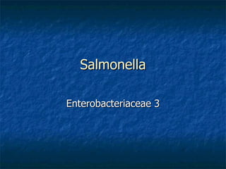 Salmonella Enterobacteriaceae 3 