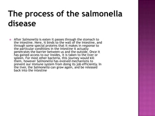 The process of the salmonella
disease
   After Salmonella is eaten it passes through the stomach to
    the intestine. Here, it binds to the wall of the intestine, and
    through some special proteins that it makes in response to
    the particular conditions in the intestine it actually
    penetrates the barrier between us and the outside. Once it
    has gained access to our insides, it is taken to the liver or
    spleen. For most other bacteria, this journey would kill
    them, however Salmonella has evolved mechanisms to
    prevent our immune system from doing its job efficiently. In
    the liver, the Salmonella can grow again, and be released
    back into the intestine
 