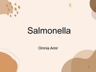 Salmonella
1
Omnia Amir
 