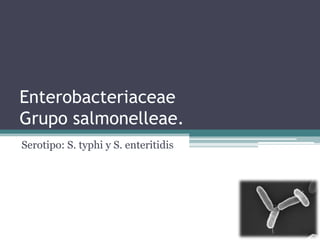 Enterobacteriaceae
Grupo salmonelleae.
Serotipo: S. typhi y S. enteritidis
 