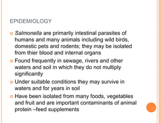 EPIDEMIOLOGY
 Salmonella are primarily intestinal parasites of
humans and many animals including wild birds,
domestic pets and rodents; they may be isolated
from thier blood and internal organs
 Found frequently in sewage, rivers and other
waters and soil in which they do not multiply
significantly
 Under suitable conditions they may survive in
waters and for years in soil
 Have been isolated from many foods, vegetables
and fruit and are important contaminants of animal
protein –feed supplements
 