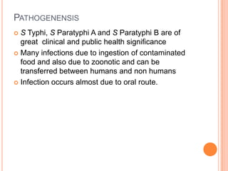 PATHOGENENSIS
 S Typhi, S Paratyphi A and S Paratyphi B are of
great clinical and public health significance
 Many infections due to ingestion of contaminated
food and also due to zoonotic and can be
transferred between humans and non humans
 Infection occurs almost due to oral route.
 