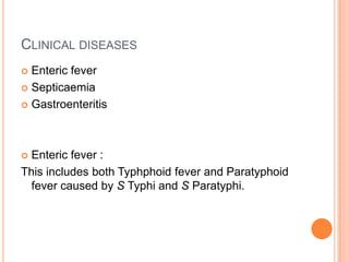CLINICAL DISEASES
 Enteric fever
 Septicaemia
 Gastroenteritis
 Enteric fever :
This includes both Typhphoid fever and Paratyphoid
fever caused by S Typhi and S Paratyphi.
 