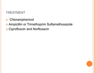 TREATMENT
 Chloramphenicol
 Ampicillin or Trimethoprim Sulfamethoxazole
 Ciprofloxcin and Norfloxacin
 