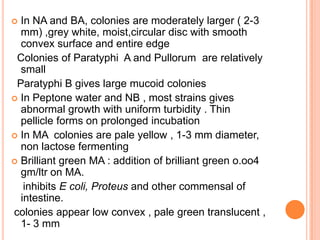  In NA and BA, colonies are moderately larger ( 2-3
mm) ,grey white, moist,circular disc with smooth
convex surface and entire edge
Colonies of Paratyphi A and Pullorum are relatively
small
Paratyphi B gives large mucoid colonies
 In Peptone water and NB , most strains gives
abnormal growth with uniform turbidity . Thin
pellicle forms on prolonged incubation
 In MA colonies are pale yellow , 1-3 mm diameter,
non lactose fermenting
 Brilliant green MA : addition of brilliant green o.oo4
gm/ltr on MA.
inhibits E coli, Proteus and other commensal of
intestine.
colonies appear low convex , pale green translucent ,
1- 3 mm
 