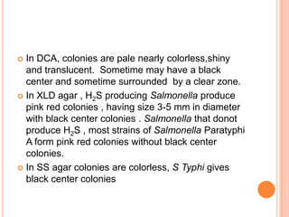  In DCA, colonies are pale nearly colorless,shiny
and translucent. Sometime may have a black
center and sometime surrounded by a clear zone.
 In XLD agar , H2S producing Salmonella produce
pink red colonies , having size 3-5 mm in diameter
with black center colonies . Salmonella that donot
produce H2S , most strains of Salmonella Paratyphi
A form pink red colonies without black center
colonies.
 In SS agar colonies are colorless, S Typhi gives
black center colonies
 