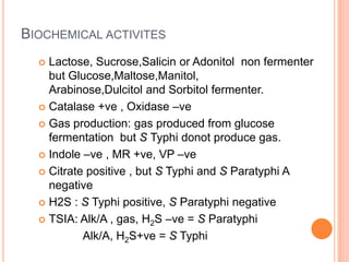 BIOCHEMICAL ACTIVITES
 Lactose, Sucrose,Salicin or Adonitol non fermenter
but Glucose,Maltose,Manitol,
Arabinose,Dulcitol and Sorbitol fermenter.
 Catalase +ve , Oxidase –ve
 Gas production: gas produced from glucose
fermentation but S Typhi donot produce gas.
 Indole –ve , MR +ve, VP –ve
 Citrate positive , but S Typhi and S Paratyphi A
negative
 H2S : S Typhi positive, S Paratyphi negative
 TSIA: Alk/A , gas, H2S –ve = S Paratyphi
Alk/A, H2S+ve = S Typhi
 