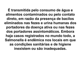 É transmitida pelo consumo de água e
alimentos contaminados ou pelo contato
direto, em razão da presença de bacilos
eliminados nas fezes e urina humanas dos
portadores da doença ativa ou nas fezes
dos portadores assintomáticos. Embora
haja casos registrados no mundo todo, a
Salmonella é endêmica nos locais em que
as condições sanitárias e de higiene
inexistem ou são inadequadas.
 