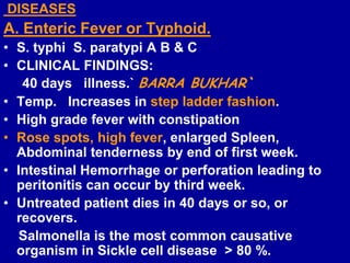 Salmonella | PPTX