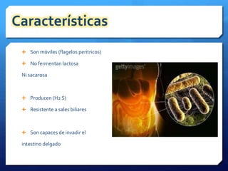 Características 
 Son móviles (flagelos peritricos) 
 No fermentan lactosa 
Ni sacarosa 
 Producen (H2 S) 
 Resistente a sales biliares 
 Son capaces de invadir el 
intestino delgado 
 