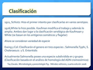 Clasificación 
1921, Schlutz: Hizo el primer intento por clasificarlas en varios serotipos. 
1926,White lo hizo posible. Kaufman modifica el trabajo y además lo 
amplia. Ambos dan lugar a la clasificación serológica de Kaufmaan y 
White (se basan en los antígenos somáticos y flagelar) 
Ahora se consideran variedad de especie 
Ewing y Col: Clasificarón el genero en tres especies : Salmonella Typhi, S. 
Choleraesuis y S. Enteritidis 
Actualmente Salmonella posee una especie subdividida en 7 grupos 
(Clasificación basada en el análisis de homología del ADN cromosómico) 
Tay Zavala. Microbiología y parasitología Tay. Méndez editores, cuarta edición 2006 
 