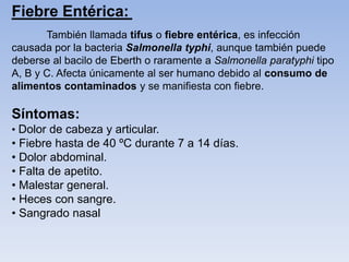 También llamada tifus o fiebre entérica, es infección
causada por la bacteria Salmonella typhi, aunque también puede
deberse al bacilo de Eberth o raramente a Salmonella paratyphi tipo
A, B y C. Afecta únicamente al ser humano debido al consumo de
alimentos contaminados y se manifiesta con fiebre.
Síntomas:
• Dolor de cabeza y articular.
• Fiebre hasta de 40 ºC durante 7 a 14 días.
• Dolor abdominal.
• Falta de apetito.
• Malestar general.
• Heces con sangre.
• Sangrado nasal
Fiebre Entérica:
 