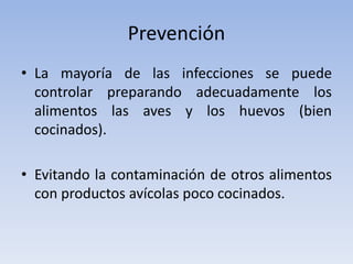 Prevención
• La mayoría de las infecciones se puede
controlar preparando adecuadamente los
alimentos las aves y los huevos (bien
cocinados).
• Evitando la contaminación de otros alimentos
con productos avícolas poco cocinados.
 