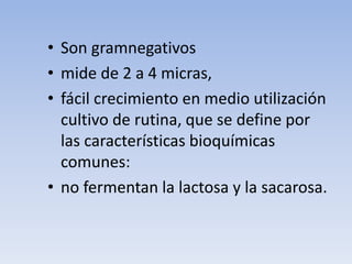 • Son gramnegativos
• mide de 2 a 4 micras,
• fácil crecimiento en medio utilización
cultivo de rutina, que se define por
las características bioquímicas
comunes:
• no fermentan la lactosa y la sacarosa.
 