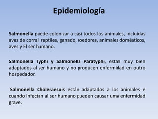 Epidemiología
Salmonella puede colonizar a casi todos los animales, incluídas
aves de corral, reptiles, ganado, roedores, animales domésticos,
aves y El ser humano.
Salmonella Typhi y Salmonella Paratyphi, están muy bien
adaptados al ser humano y no producen enfermidad en outro
hospedador.
Salmonella Choleraesuis están adaptados a los animales e
cuando infectan al ser humano pueden causar uma enfermidad
grave.
 