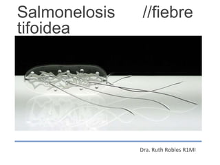 Dra. Ruth Robles R1MI
Salmonelosis //fiebre
tifoidea
 