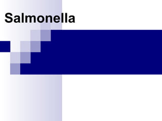 Salmonella
 