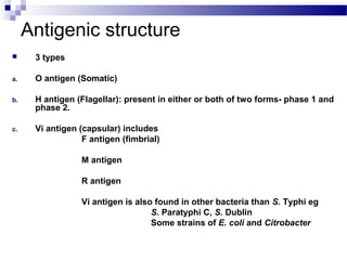 Antigenic structure
 3 types
a. O antigen (Somatic)
b. H antigen (Flagellar): present in either or both of two forms- phase 1 and
phase 2.
c. Vi antigen (capsular) includes
F antigen (fimbrial)
M antigen
R antigen
Vi antigen is also found in other bacteria than S. Typhi eg
S. Paratyphi C, S. Dublin
Some strains of E. coli and Citrobacter
 