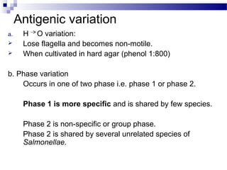 Antigenic variation
a. H O variation:
 Lose flagella and becomes non-motile.
 When cultivated in hard agar (phenol 1:800)
b. Phase variation
Occurs in one of two phase i.e. phase 1 or phase 2.
Phase 1 is more specific and is shared by few species.
Phase 2 is non-specific or group phase.
Phase 2 is shared by several unrelated species of
Salmonellae.
 