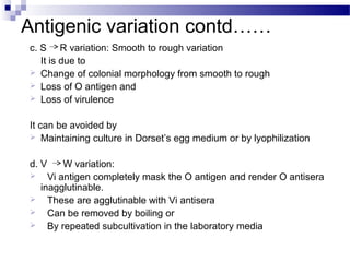 Antigenic variation contd……
c. S R variation: Smooth to rough variation
It is due to
 Change of colonial morphology from smooth to rough
 Loss of O antigen and
 Loss of virulence
It can be avoided by
 Maintaining culture in Dorset’s egg medium or by lyophilization
d. V W variation:
 Vi antigen completely mask the O antigen and render O antisera
inagglutinable.
 These are agglutinable with Vi antisera
 Can be removed by boiling or
 By repeated subcultivation in the laboratory media
 