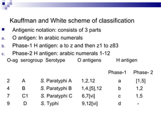 Kauffman and White scheme of classification
 Antigenic notation: consists of 3 parts
a. O antigen: In arabic numerals
b. Phase-1 H antigen: a to z and then z1 to z83
c. Phase-2 H antigen: arabic numerals 1-12
O-ag serogroup Serotype O antigens H antigen
Phase-1 Phase- 2
2 A S. Paratyphi A 1,2,12 a [1,5]
4 B S. Paratyphi B 1,4,[5],12 b 1,2
7 C1 S. Paratyphi C 6,7[vi] c 1,5
9 D S. Typhi 9,12[vi] d -
 