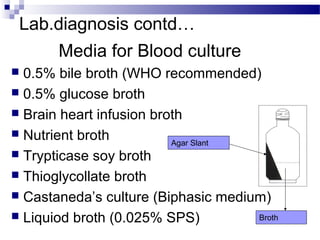 Lab.diagnosis contd…
Media for Blood culture
 0.5% bile broth (WHO recommended)
 0.5% glucose broth
 Brain heart infusion broth
 Nutrient broth
 Trypticase soy broth
 Thioglycollate broth
 Castaneda’s culture (Biphasic medium)
 Liquiod broth (0.025% SPS)
Agar Slant
Broth
 