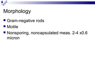 Morphology
 Gram-negative rods
 Motile
 Nonsporing, noncapsulated meas. 2-4 x0.6
micron
 