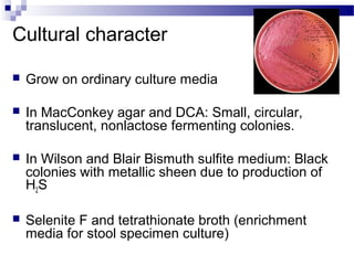 Cultural character
 Grow on ordinary culture media
 In MacConkey agar and DCA: Small, circular,
translucent, nonlactose fermenting colonies.
 In Wilson and Blair Bismuth sulfite medium: Black
colonies with metallic sheen due to production of
H2S
 Selenite F and tetrathionate broth (enrichment
media for stool specimen culture)
 