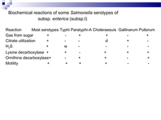 Biochemical reactions of some Salmonella serotypes of
subsp. enterica (subsp,I)
Reaction Most serotypes Typhi Paratyphi-A Choleraesuis Gallinarum Pullorum
Gas from sugar + - + + - +
Citrate utilization + - - d + -
H2S + w - - - -
Lysine decarboxylase + + - + + +
Ornithine decarboxylase+ - + + - +
Motility + + + + - -
 