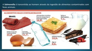 A Salmonella é transmitida ao homem através da ingestão de alimentos contaminados com
fezes animais.
 