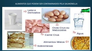 ALIMENTOS QUE PODEM SER CONTAMINADOS PELA SALMONELLA
 