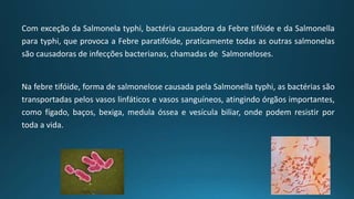 Com exceção da Salmonela typhi, bactéria causadora da Febre tifóide e da Salmonella
para typhi, que provoca a Febre paratifóide, praticamente todas as outras salmonelas
são causadoras de infecções bacterianas, chamadas de Salmoneloses.
Na febre tifóide, forma de salmonelose causada pela Salmonella typhi, as bactérias são
transportadas pelos vasos linfáticos e vasos sanguíneos, atingindo órgãos importantes,
como fígado, baços, bexiga, medula óssea e vesícula biliar, onde podem resistir por
toda a vida.
 