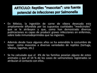 • En México, la ingestión de carne de vibora desecada esta
ampliamente difundida por las supuestas cualidades “medicinales”
que se le atribuyen y que, como han demostrado diversas
publicaciones es capas de producir graves infecciones en enfermos,
sobre todo inmunodeprimidos que las ingieren.
• Además desde hace algunos años se ha extendido la costumbre de
tener como mascotas a diversas variedades de reptiles (tortuga,
víboras, lagartos, etc.)
• Se ha calculado que el 4% de las familias poseían alguno de estos
animales y que el 14 % de los casos de salmonelosis registrados se
atribuían al contacto con ellos.
 