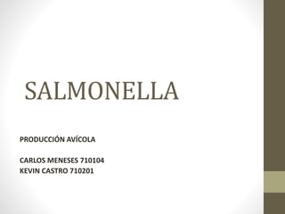 SALMONELLA
PRODUCCIÓN AVÍCOLA
CARLOS MENESES 710104
KEVIN CASTRO 710201
 