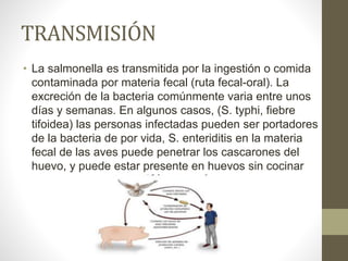 Salmonella | PPT