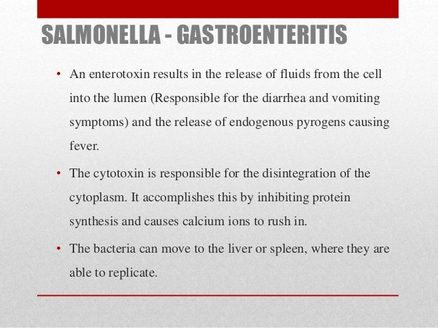 Salmonella