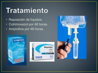 • Reposición de líquidos.
• Cotrimoxazol por 48 horas.
• Ampicilina por 48 horas.
 