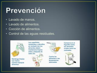 • Lavado de manos.
• Lavado de alimentos.
• Cocción de alimentos.
• Control de las aguas residuales.
 