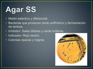 • Medio selectivo y diferencial.
• Bacterias que producen ácido sulfhídrico y fermentación
de lactosa.
• Inhibidor: Sales biliares y verde brillante.
• Indicador: Rojo neutro.
• Colonias opacas y negras.
 
