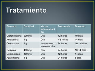 Fármaco Cantidad Vía de
administraci
ón
Frecuencia Duración
Ciprofloxacina 500 mg Oral 12 horas 10 días
Amoxicilina 1 g Oral 4-6 horas 14 días
Ceftriaxona 2 g Intravenosa o
intramuscular
24 horas 10- 14 días
Cefixima 400 mg Oral 24 horas 10-14 días
Cotrimoxazol 160 mg Oral 12 horas 14 días
Azitromicina 1 g Oral 24 horas 5 días
 