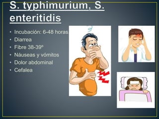 • Incubación: 6-48 horas.
• Diarrea
• Fibre 38-39º
• Náuseas y vómitos
• Dolor abdominal
• Cefalea
 