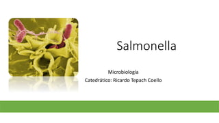 Salmonella
Microbiología
Catedrático: Ricardo Tepach Coello
 