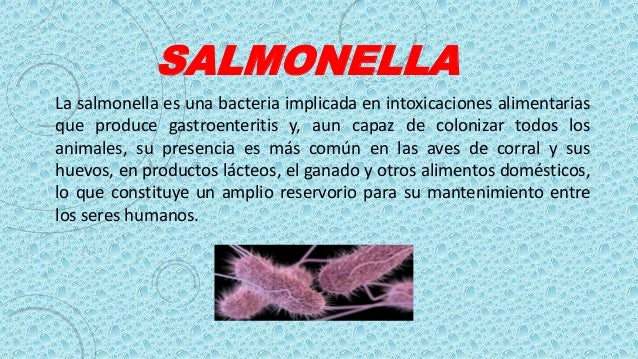 Salmonella