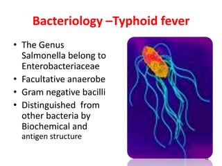 Bacteriology –Typhoid fever
• The Genus
Salmonella belong to
Enterobacteriaceae
• Facultative anaerobe
• Gram negative bacilli
• Distinguished from
other bacteria by
Biochemical and
antigen structure
12
 