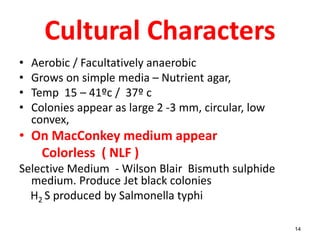 Cultural Characters
• Aerobic / Facultatively anaerobic
• Grows on simple media – Nutrient agar,
• Temp 15 – 41ºc / 37º c
• Colonies appear as large 2 -3 mm, circular, low
convex,
• On MacConkey medium appear
Colorless ( NLF )
Selective Medium - Wilson Blair Bismuth sulphide
medium. Produce Jet black colonies
H2 S produced by Salmonella typhi
14
 