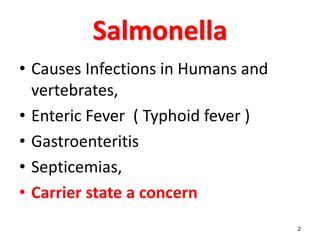 Salmonella
• Causes Infections in Humans and
vertebrates,
• Enteric Fever ( Typhoid fever )
• Gastroenteritis
• Septicemias,
• Carrier state a concern
2
 