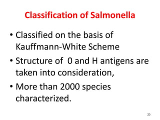 Classification of Salmonella
• Classified on the basis of
Kauffmann-White Scheme
• Structure of 0 and H antigens are
taken into consideration,
• More than 2000 species
characterized.
23
 