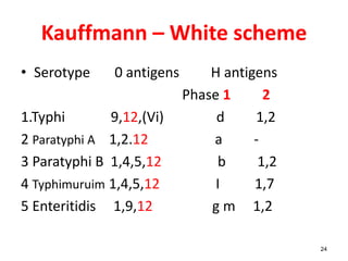 Kauffmann – White scheme
• Serotype 0 antigens H antigens
Phase 1 2
1.Typhi 9,12,(Vi) d 1,2
2 Paratyphi A 1,2.12 a -
3 Paratyphi B 1,4,5,12 b 1,2
4 Typhimuruim 1,4,5,12 I 1,7
5 Enteritidis 1,9,12 g m 1,2
24
 
